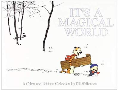 Calvin and Hobbes book cover