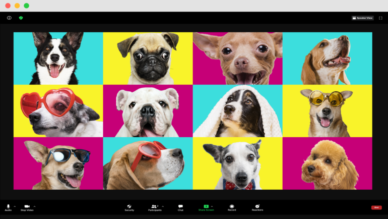 image of zoom meeting featuring several different breeds of dogs on colorful background